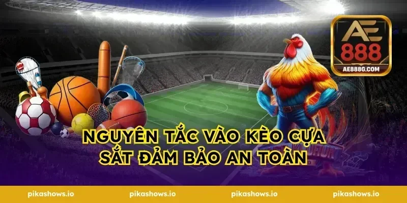 Nguyên tắc vào kèo cựa sắt đảm bảo an toàn
