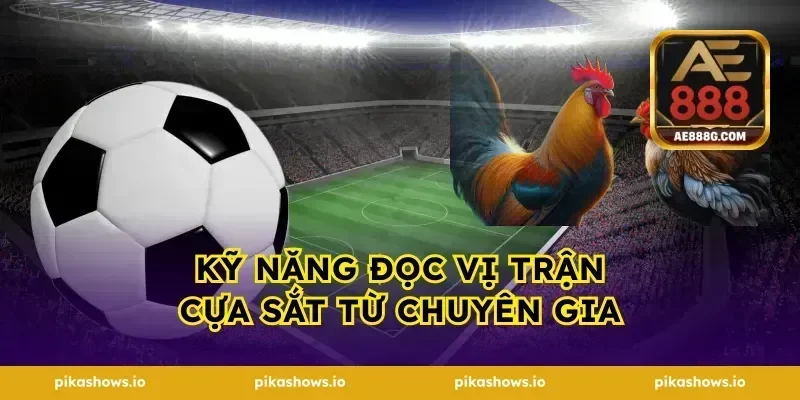 Kỹ năng đọc vị trận cựa sắt từ chuyên gia