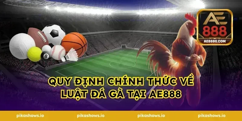 Quy định chính thức về luật đá gà tại ae888