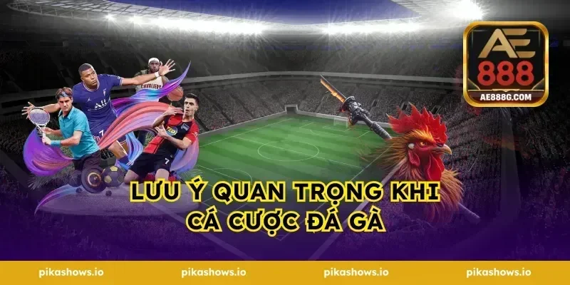 Lưu ý quan trọng khi cá cược đá gà