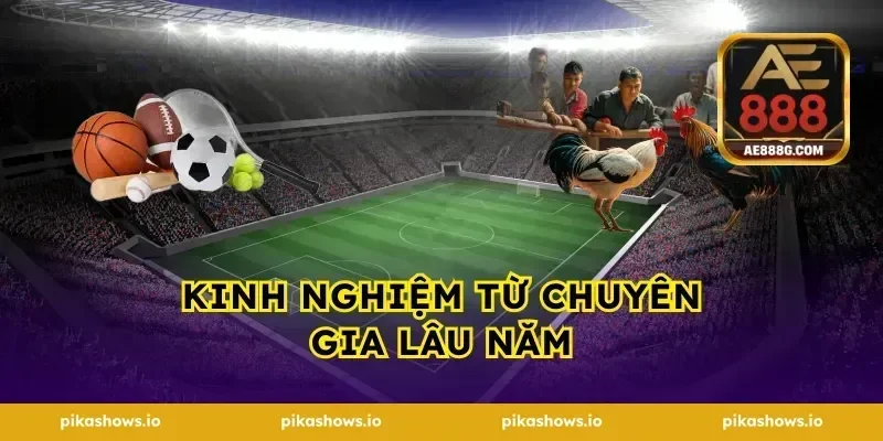Kinh nghiệm từ chuyên gia lâu năm