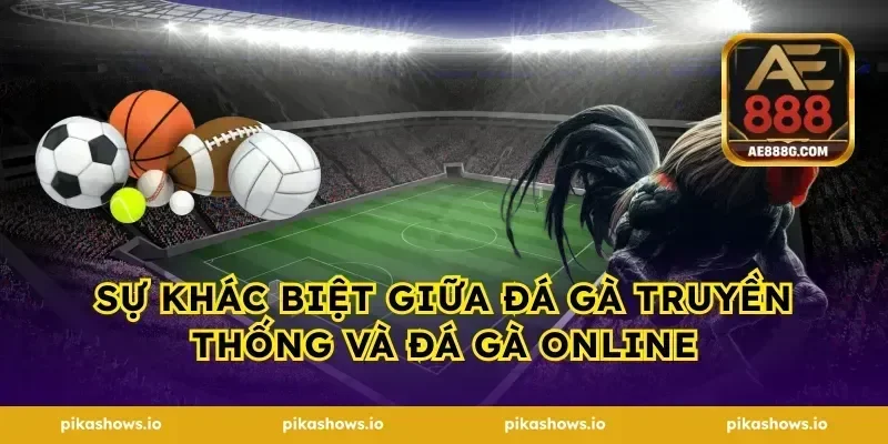 Sự khác biệt giữa đá gà truyền thống và đá gà online