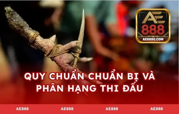 Quy chuẩn chuẩn bị và phân hạng thi đấu