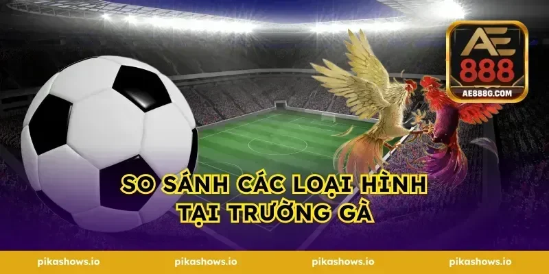 So Sánh Các Loại Hình Tại Trường Gà