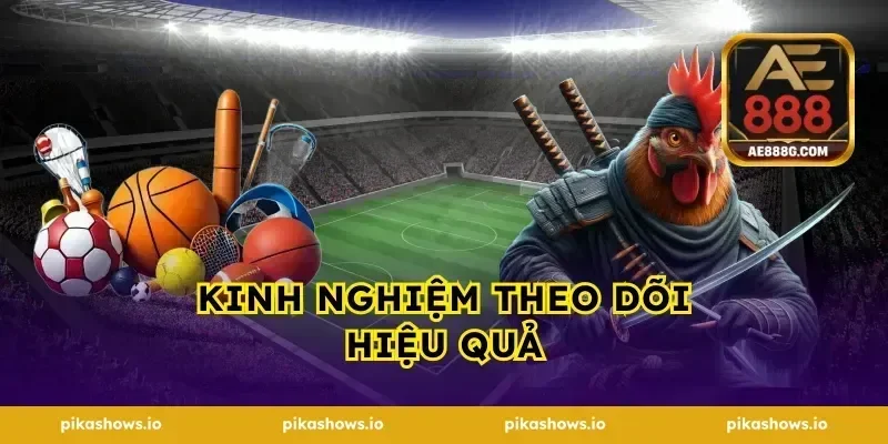Kinh Nghiệm Theo Dõi Hiệu Quả