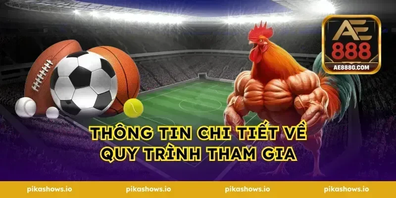 Thông Tin Chi Tiết Về Quy Trình Tham Gia
