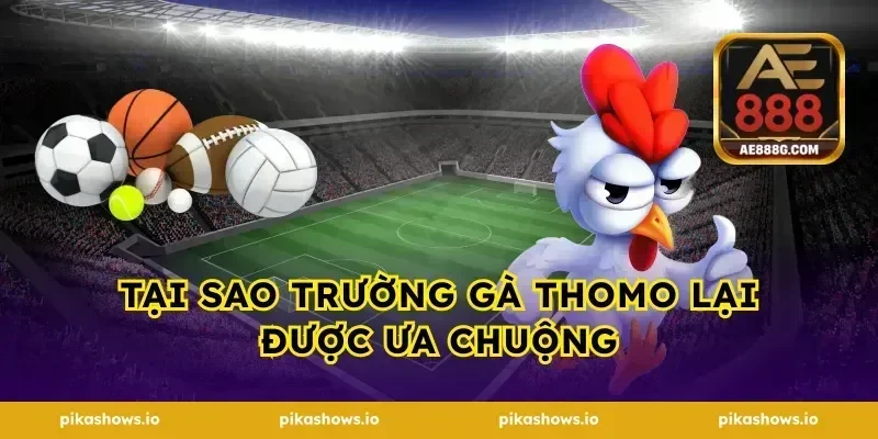 Tại Sao Trường Gà Thomo Lại Được Ưa Chuộng